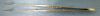 APPASAMY AA 3747 Forceps