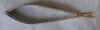 WECK 42-3422 Scissors