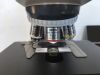 ZEISS Axioscop A1 LED with Camera Microscope