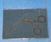 RICHARDS 23-0061 Scissors