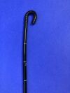 OLYMPUS Evis Lucera GIF-XQ260 Gastroscope Endoscope