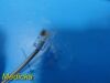 MEDTRONIC 9680141 External Modem Cable / 25' 6P4C