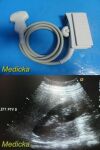 ACUSON 6C2 Model 0824B186 Convex Ultrasound Transducer