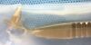 SURGICAL DIRECT SD45770 Specula