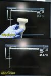 ACUSON 15L8W Model 08241113 Linear Array Ultrasound Transducer