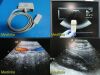 ACUSON 4V2 Sector Array Ultrasound Transducer