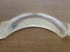 MALLINCKRODT / COVIDIEN 86057 Lo-Pro Tracheal Tube 10MM I.D. (X)