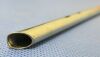 KARL STORZ 10338 A Bronchoscope Tube
