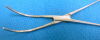 PILLING 35-6031 Clamp