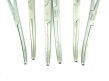 SPECTRUM Lot 6  60-1941 Rochester Pean 6 1/4 in Medical Curved Forceps Hemostatic Lot 6 Spectrum 60-1941 Rochester Pean 6 1/4 in Medical Curved Forceps Hemostatic