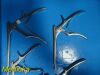 V. MUELLER 5X  & s Assorted Ronguer Upcut /  Down Cut, Variable Length