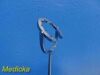 ASC Accutome AE14774 Diamond Knife W/ AR0122 Stabilizer/Sizer & Case