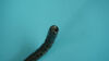 OLYMPUS GIF-XQ200 Gastroscope