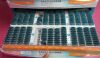 BAUSCH & LOMB Lot of  Contact Lenses Ultra Moisture Seal Astigmatism Ophthalmolic