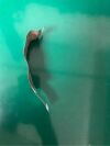 PHILIPS FM20FM30  FM20FM30 Fetal Monitor Display Cable Fetal Monitor