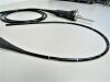 OLYMPUS BF-P60 Bronchoscope
