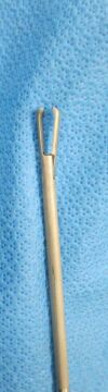 CIRCON CABOT 003476-901 Forceps