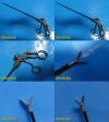 V. MUELLER Weck GU3920 Urography Urology Instrumentation Set - Lot of 31 Urological Instrument