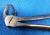 W. LORENZ 09-0481 Extracting Forceps