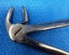 W. LORENZ 09-0481 Extracting Forceps