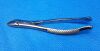 W. LORENZ 09-0527 Extracting Forceps