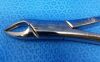 W. LORENZ 09-0527 Extracting Forceps