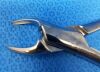 W. LORENZ 09-0527 Extracting Forceps