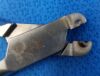 AESCULAP FF103R Pin Cutter