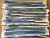 BARD 0165V24S BARDEX Foley Catheter 5cc Ribbed Balloon Silicone Coated, 24Fr (Box Of 12) (X)