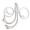 MIDMARK IQecg Ultrasound - Cardiac