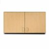CLINTON 48 Inch Medicine Cabinets