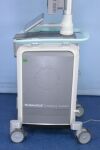 NINEPOINT Nvision VLE NitePoint  OCT Imaging Endoscopic Esophageal Pancreatic Volumetric