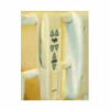 JOERNS N717 Home Care Bed