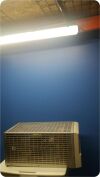 LINDBERG BLUE M Circulating Water Bath