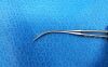 STORZ 2-730 Forceps