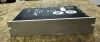 PHILIPS 459800300241 AMC Ecat drive DPPH01 Cath Angio Lab