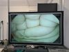 PENTAX EC38i10F2 Colonoscope