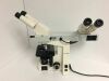 CARL ZEISS Axiolab re Microscope w/ 10x 40x 100x CP-Achromat Objectives 3 Microscope