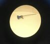 STRYKER Model 502-457-010 Autoclavable Laprascope 10mm 0-Degree Laparoscope