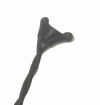 INVIVO SPO2 FIBEROPTIC WRAP SENSOR # 9399 (16' LENGTH) SPO2 Probe