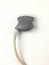 SIEMENS 17L5 Ultrasound Transducer