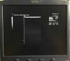 SIEMENS 15L8W Ultrasound Transducer