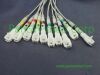 PANSWMED EKG-10060 compatible ten leads ECG cable for Bruker SPO2 Probe