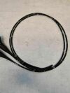 OLYMPUS GIF-XP180N WITH OEM INSERTION TUBE Gastroscope