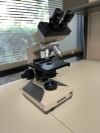 OLYMPUS CH2 Refurbished with Warranty Microscope