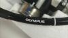 OLYMPUS GIF-Q260 /Patient Ready Gastroscope