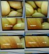 OLYMPUS A50001A VISERA10mm x 0°Rigid Telescope Laparoscope