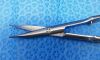 ASSI 83424R Scissors