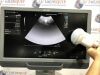 SIEMENS/ACUSON 7CF2 Ultrasound Transducer