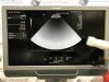 SIEMENS/ACUSON 4V1 Ultrasound Transducer